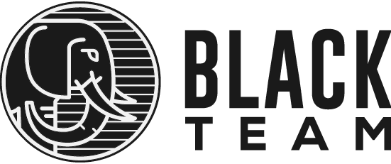 Logo_Black_Team_Consultoría_especializada_7way_security
