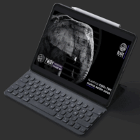Thumbnail_Black_Team_ipad-pro-mockup Black_Team_Consultoría_especializada_7way_security